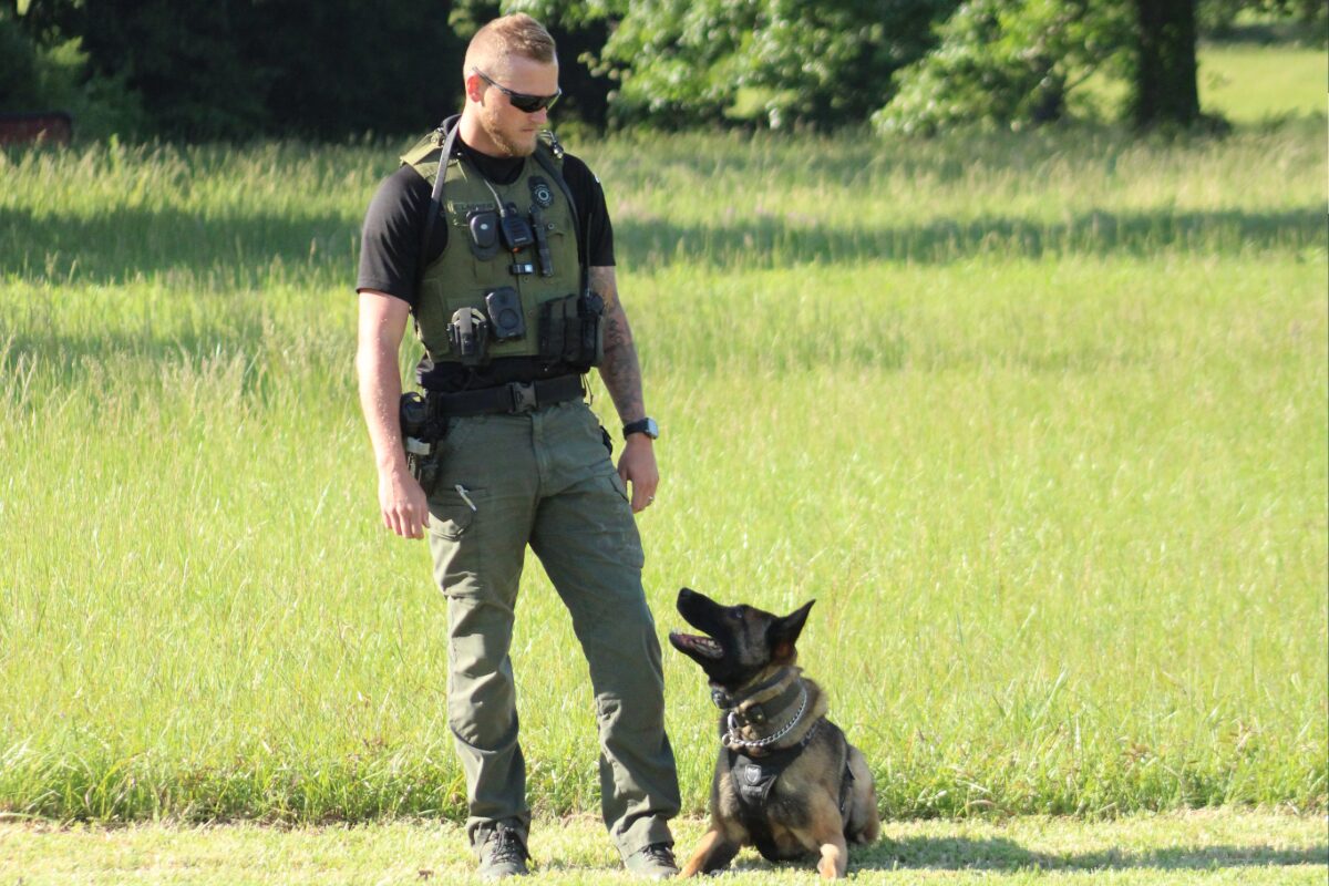 K9 handler in a green tactical vest and sunglasses stands in a grassy field beside a German Shepherd wearing a collar and leash.
