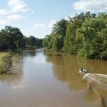 A small motorboat with two people travels along a muddy river bordered by trees under a blue sky.