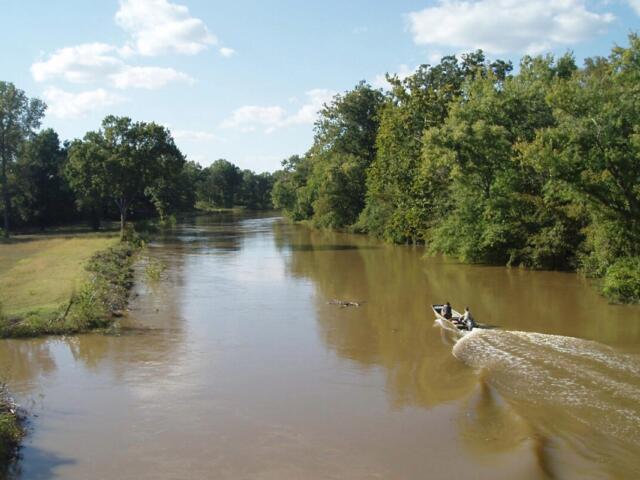 A small motorboat with two people travels along a muddy river bordered by trees under a blue sky.