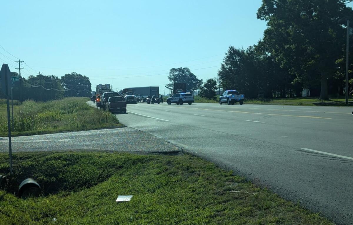 Police cars with flashing lights blocking a busy highway near a grassy median and trees on a sunny day, with other vehicles stopped nearby.