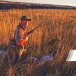 man holding gun in hunting vest with hunting dogs