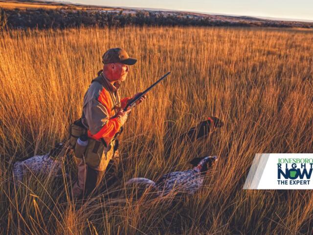 man holding gun in hunting vest with hunting dogs