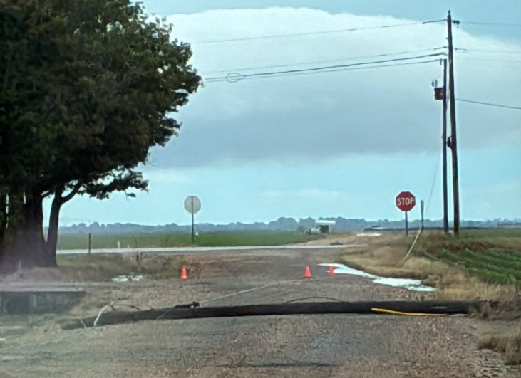 Northeast Arkansas Cleans Up After Powerful Straight-Line Winds Leave Thousands Without Power Crews spend Sunday clearing trees, repairing power lines and replacing broken utility poles after Saturday's severe storms swept across the region